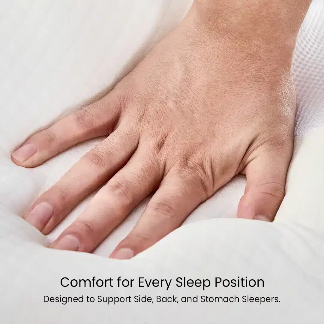Ornatera Pillow (official Retailer) 2025